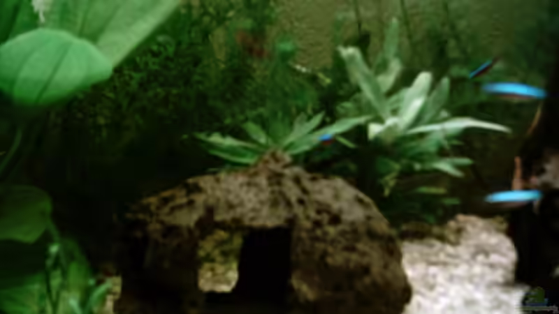 Die Liebeshöhle ;-)! von Christina Betz (4)