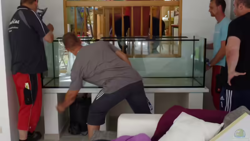 die Lieferung von master-marko (4)