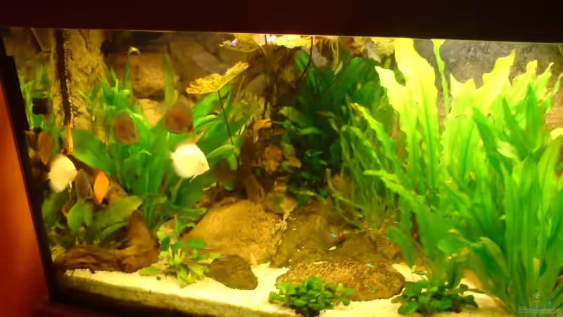 Die linke Hälfte von GGuardiaNN (3)