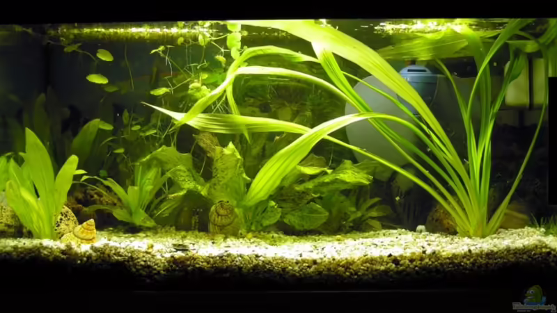 Die linke hintere Ecke ist nicht so dunkel wie es aussieht von Lena Sebastian (1)