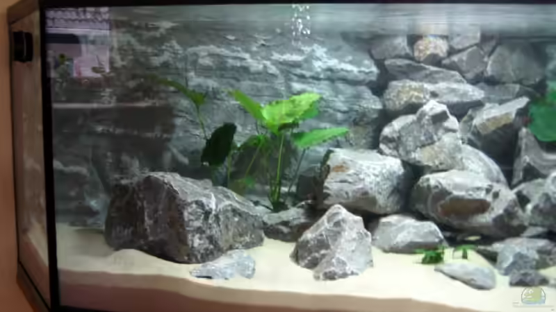 Die linke Seite... von Horst Gennat (2)