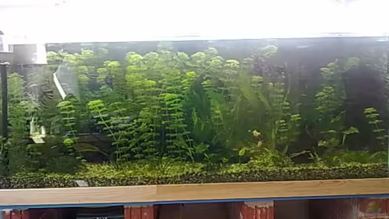 die linke seite meines beckens von Bastian Linsenmeier (15)