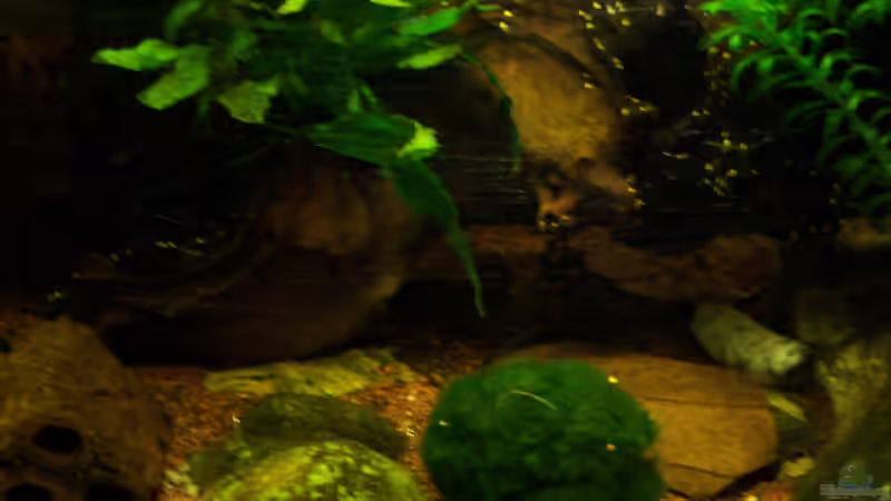 die linke Seite mit Tonhöhlen 01.03.2015 von Schratze (8)