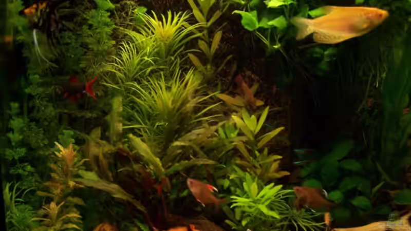 Die linke Seite neu von Andreas Weiler (13)