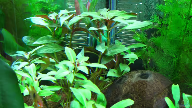 Die linke Seite von matze81 (2)