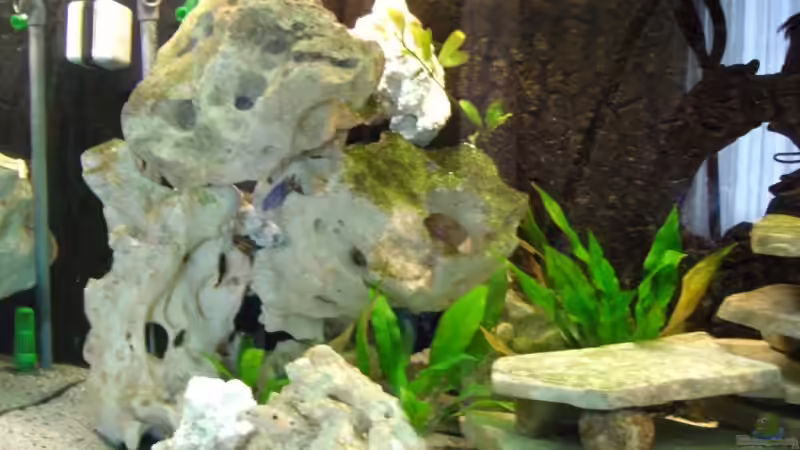 Die Lochsteinecke von Troll (10)