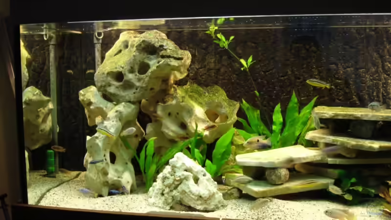 Die Lochsteinecke von Troll (7)