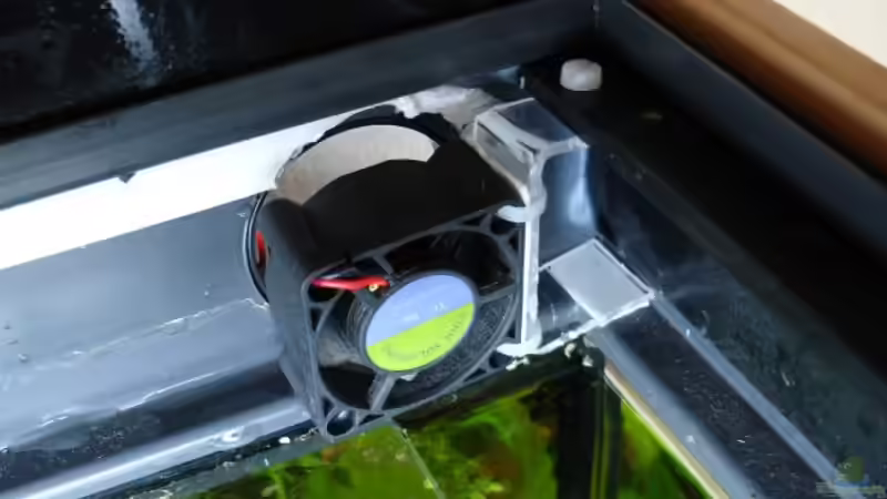 Die Lüftung, trotz der grösse erstaundlich effizient von Oxid81 (8)