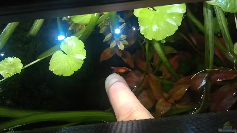 Die mag mich... von El Hein (33)