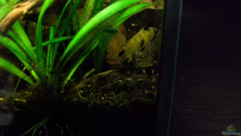 Die Mama und ihre Kleinen von To Be (10)