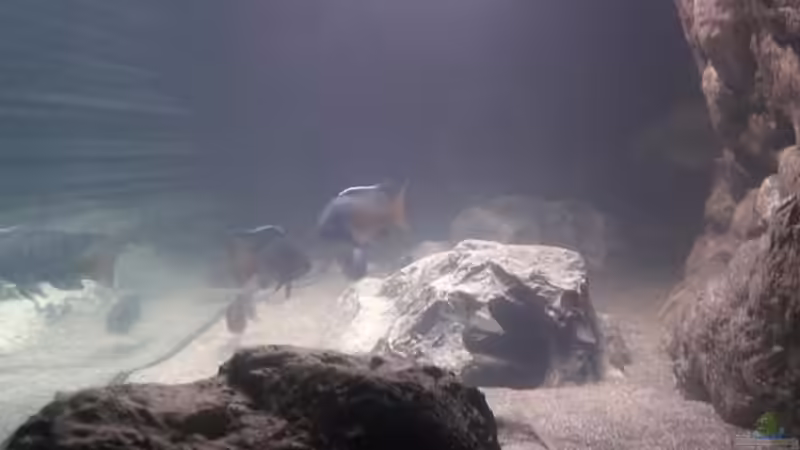 Die Mittagssonne  von DER YBBSTALER (21)