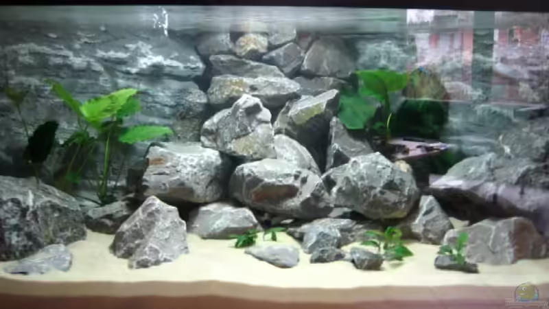 Die Mitte... von Horst Gennat (3)