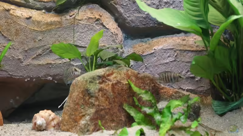 Die Mitte Stand 18.09.2007 von Bastian Otto (2)