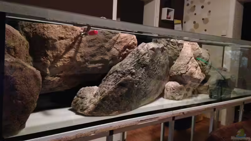 Die Module ergänzen sich ganz gut, trotz der verschiedenen Hersteller von TheToxicAvenger (20)