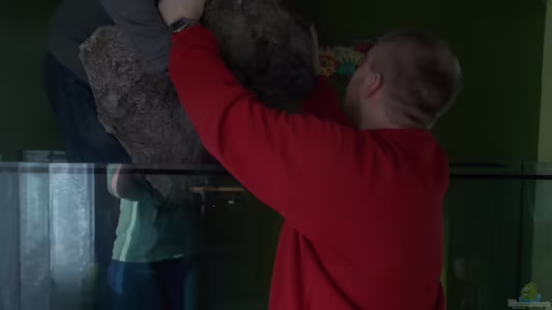 Die Module kommen rein von Pierre (2)