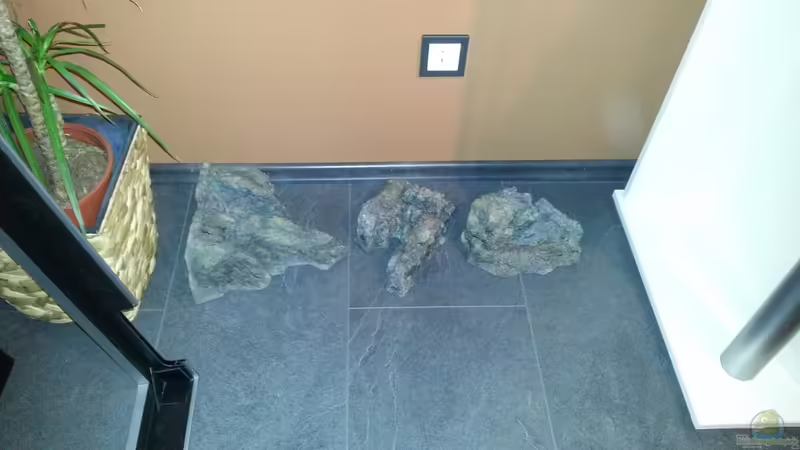 Die Module passend zur Rückwand von ~MISCHA WILKEN~ (14)