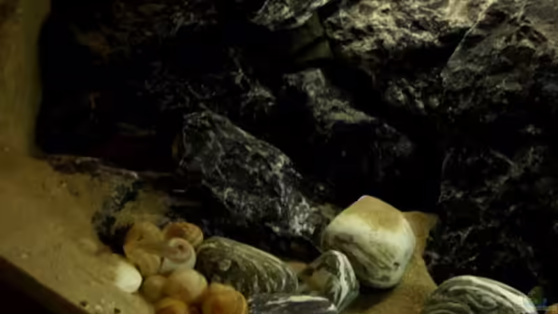 Die Multis sind umgezogen ;-) von Julien Preuß (12)