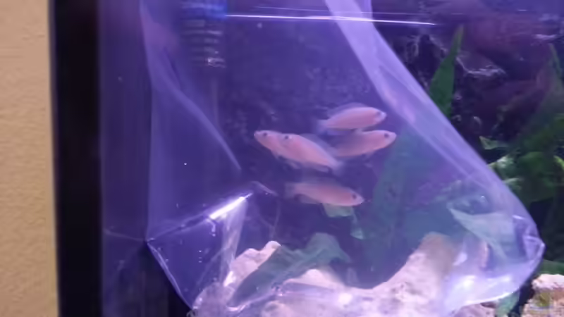 Die Multis werden schonend eingesetzt.  von Daniel Kastner (31)