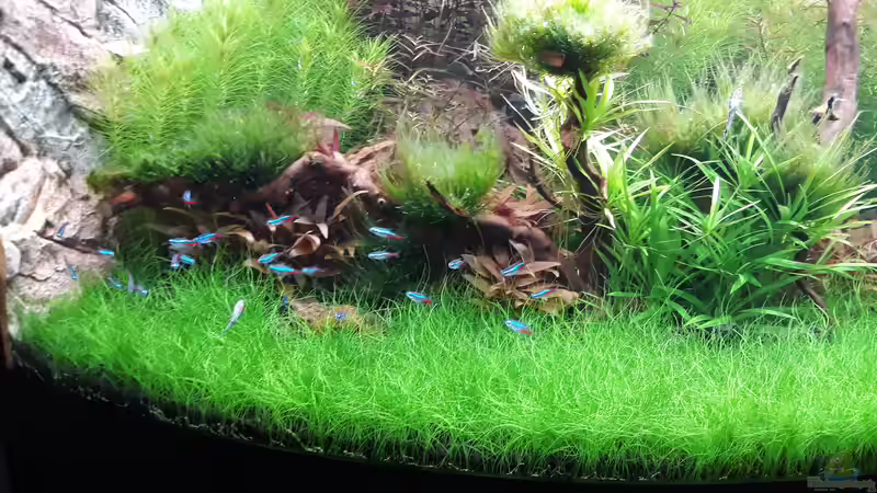 Die Neons :-) von Michael Müller (11)