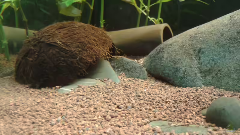 Die neue Behausung für die L 169 von Kai Heermann (18)