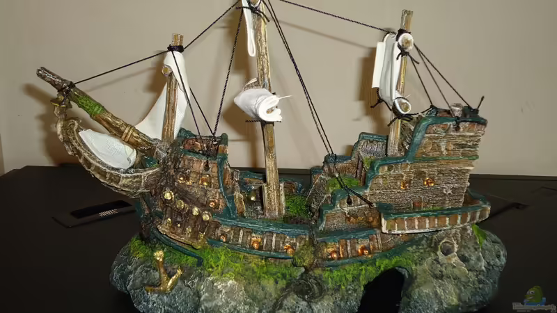 Die neue Deko von atom010 (34)