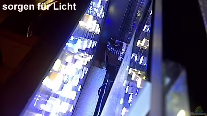 Die neue LED Beleuchtung von The_Lizardking (16)