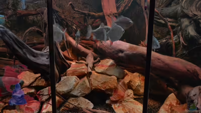 Die ´neue´ Mitte - 24.10.2012 von GGuardiaNN (19)