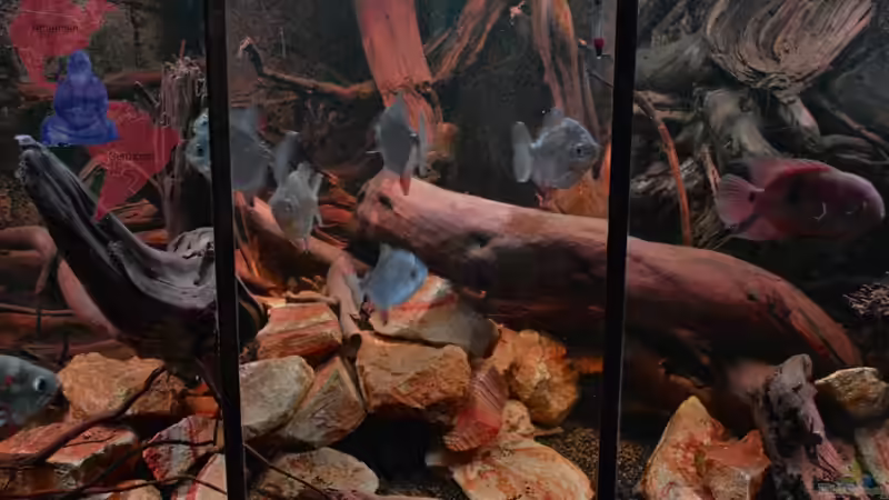 Die ´neue´ Mitte 2 - 24.10.2012 von GGuardiaNN (21)