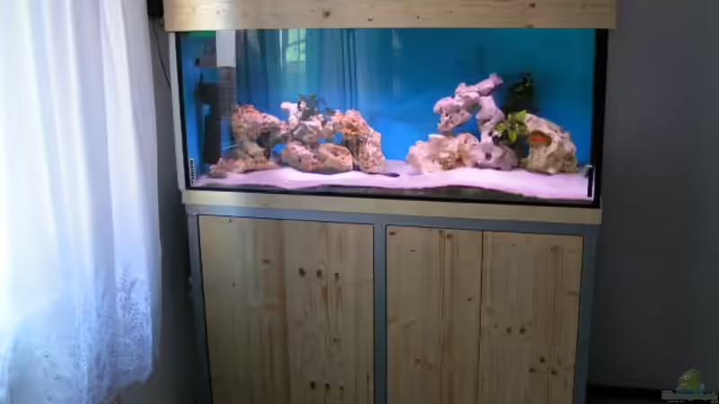 Die neue Verkleidung  von Eugen Margulis (1)