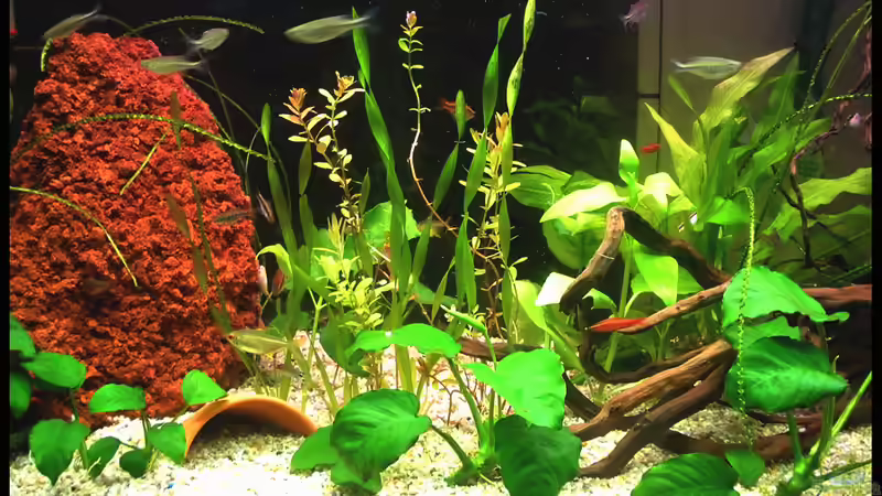 Die neuen ;-) von Alex Dihu (9)