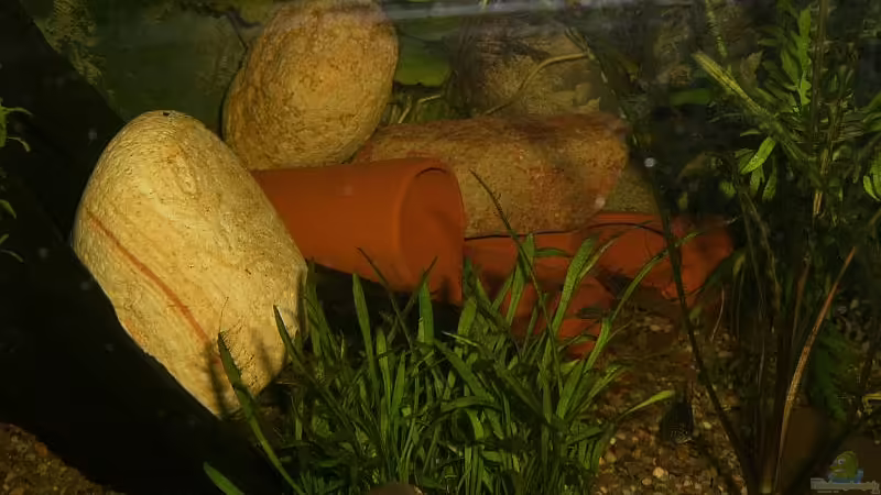 die neuen single-wohnungen von Stephan Fehringer (21)