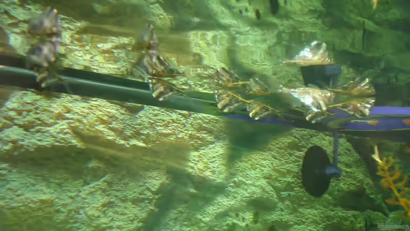 Die neuen vom 28,03,2015 von atom010 (50)