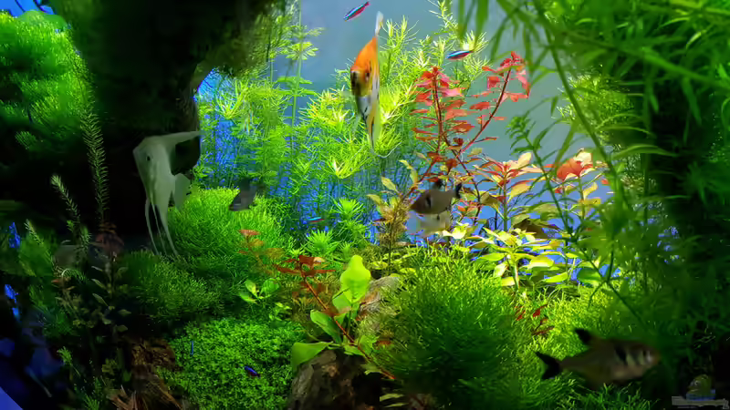 die ´Neulinge´ von Sebastian Hartmann (18)