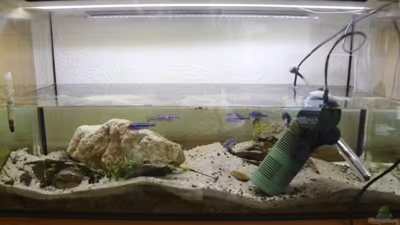 die Notlösung muss reichen bis das neue Becken da ist von Cruiser Bruno (2)