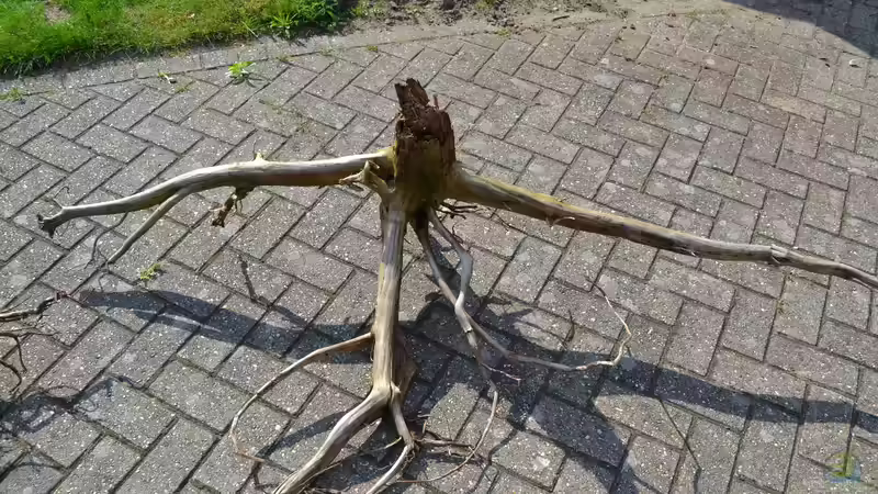 Die Nr. 5 ist über 2m lang und wird entlang der rechten Rückwand positioniert. von GGuardiaNN (48)