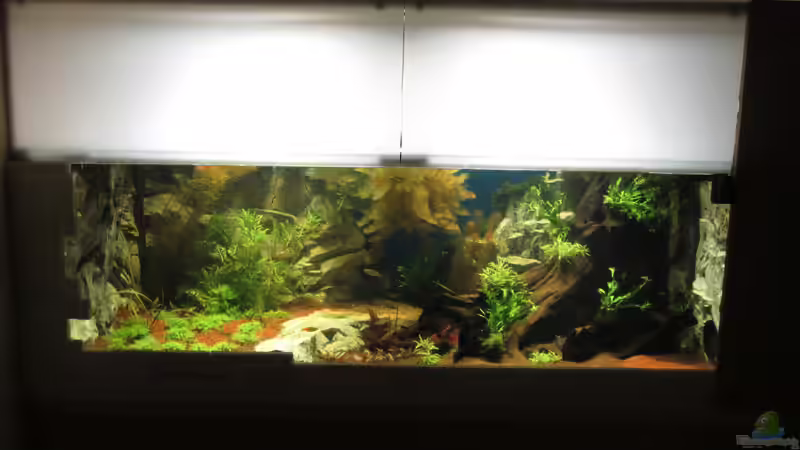 die obere Abdeckung ist noch nicht fertig von Christian Grunwald (8)