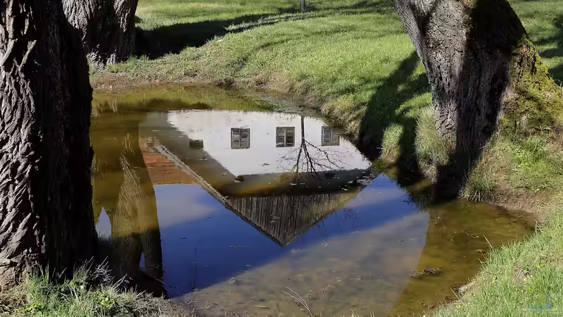 Die perfekte Kombination: Der Gartenteich und die Garteneinrichtung