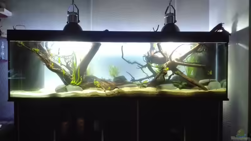 Die Pflanzen müssen erstmal wachsen. von seb (31)