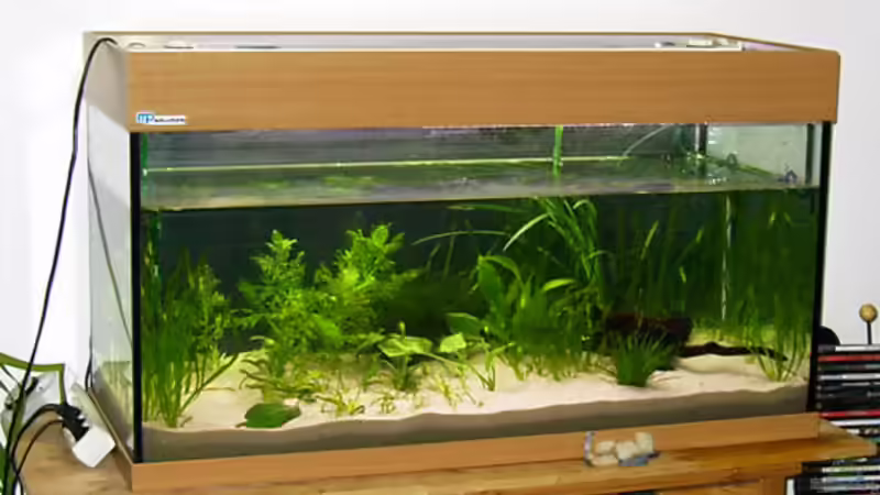 die Pflanzen ziehen ein von André Thiel (4)