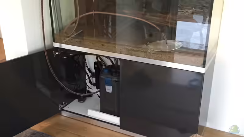 die Pflanzen ziehen ein von christian (2)