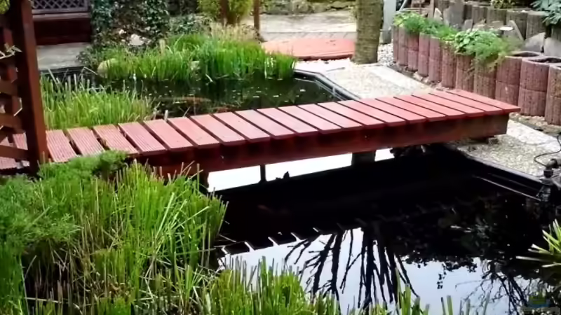 Die Planzen werden noch etwas gekürzt von snooze (8)