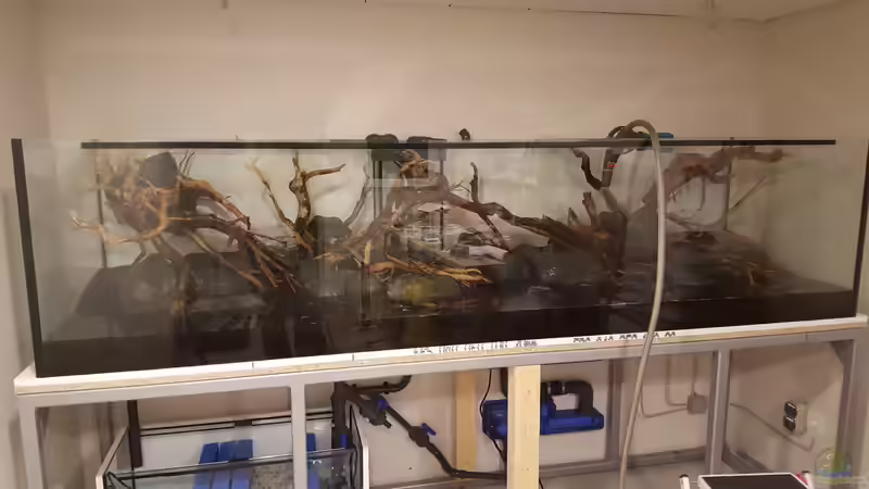 die Positionierung ist erst mal abgeschlossen von Sven Oelze (26)