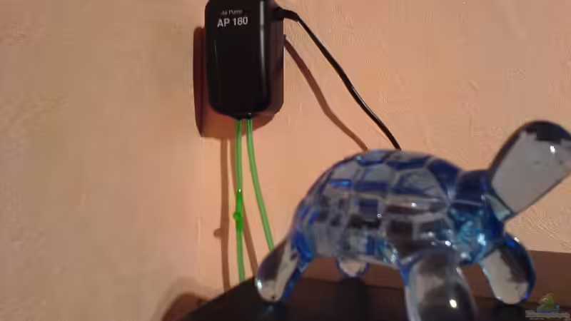 die Pumpe sorgt für die Sauerstoffversorgung und Wasserumwälzung von Thomas Riemenschneider (11)