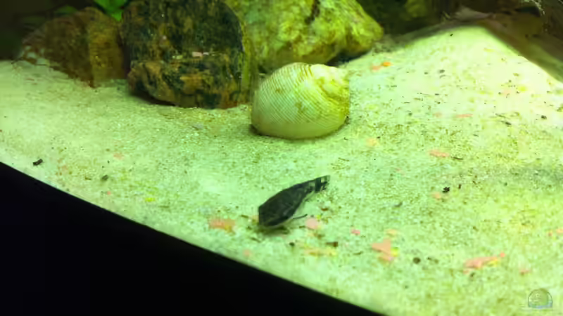 die Putzkolonne von Matze M. (15)