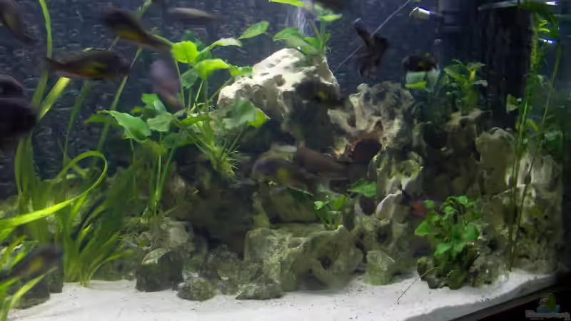 die rechte Seite von Sven Ufer (2)