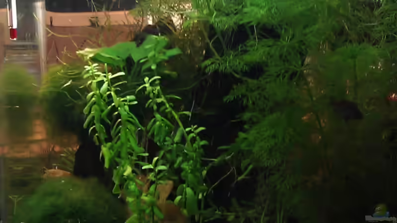 die rechte Seite von TinaMarie (7)