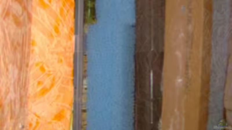 Die Reste von der Matte.Mit Heizerstab und Pumpe von O.K. (13)