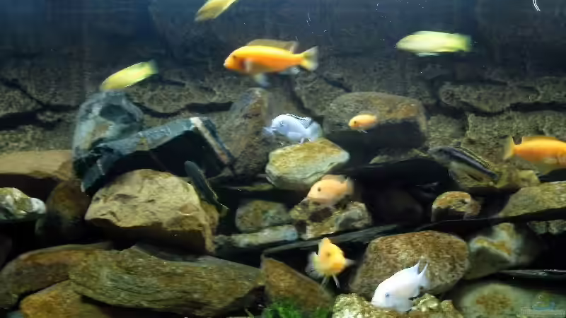 die Rocker-Gang von Steffen Gebert (14)