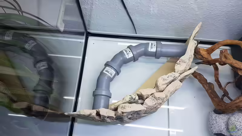 Die Röhre von Neon (3)