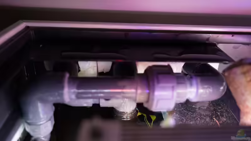 Die Rohre für den Filter. Die beiden Ansaugrohre des 1200XLT werden aus optischen von Jonas B. (43)